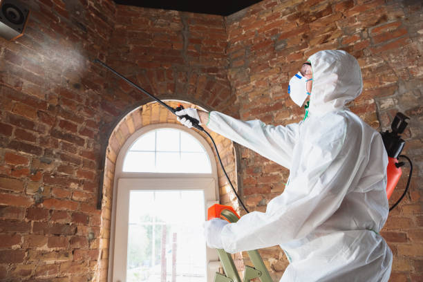 Mold Removal for HVAC Installations in Bonifay, FL