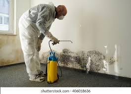 Why You Should Choose Our Mold Remediation Services in Bonifay, FL